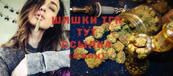 дживик Протвино