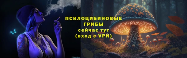 гашик Приозерск