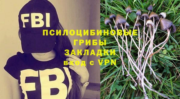 дживик Протвино