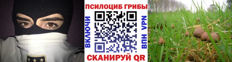Галлюциногенные грибы Cubensis  площадка какой сайт  Аксай 