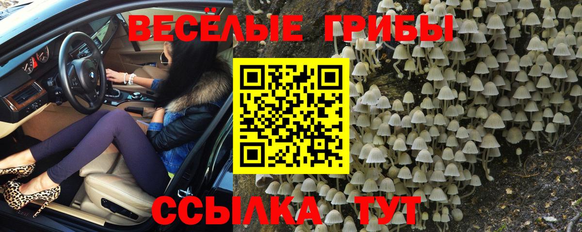 Галлюциногенные грибы Magic Shrooms  Вход с VPN  Галлюциногенные грибы прущие грибы  Аксай 